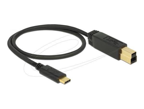 Delock - USB-kabel - USB-C (hann) til USB Type B (hann) - USB 3.1 Gen 2 - 3 A - 50 cm - svart