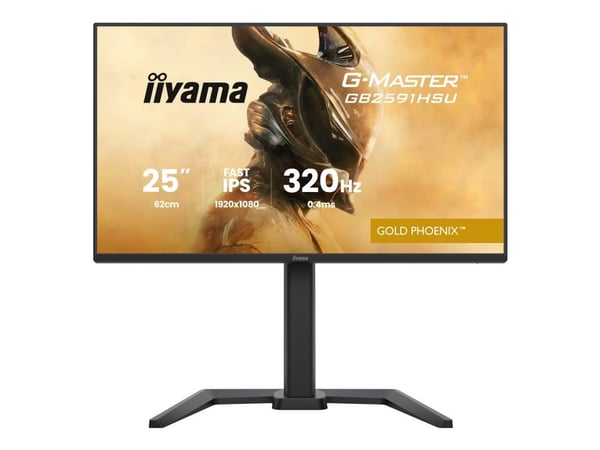 IIYAMA 68.6cm (24.5") GB2591HSU-B1 16:9 2xHDMI+DP+2xUSB-C