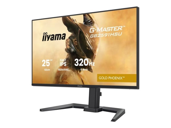 IIYAMA 68.6cm (24.5") GB2591HSU-B1 16:9 2xHDMI+DP+2xUSB-C