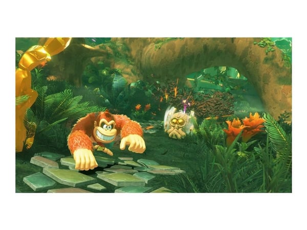 Nintendo Donkey Kong Bananza, Nintendo Switch 2