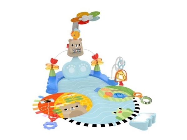 Fisher-Price Balanced Beginnings Kick & Sway Gym