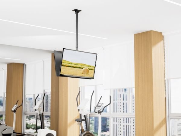 Varustaa kattokiinnitys 43 "-86" /2TFT 50Kg back->back sw lite Retail