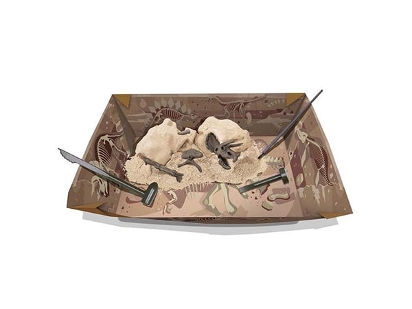 4M 00-03228, Skjelett, Arkeologi, Beige