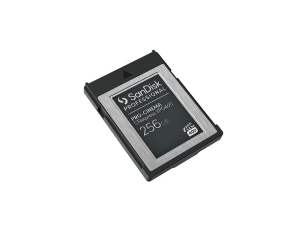 SanDisk Professional - Flash-minneskort - 256 GB - CFexpress, typ B - svart