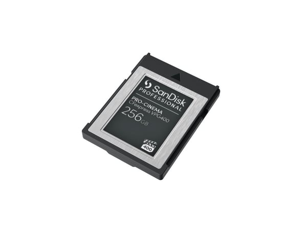 SanDisk Professional - Flash-minneskort - 256 GB - CFexpress, typ B - svart