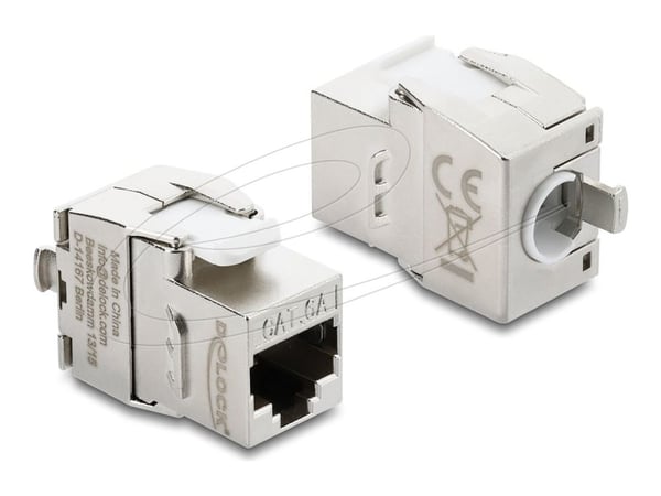 Delock - Keystone module - RJ-45 (hunn) til LSA (hunn) - skjermet - CAT 6a - snap-in - hvit, sølv