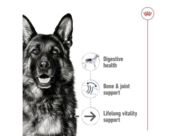 Royal Canin SHN Maxi Ageing Loaf våtfoder 410 g