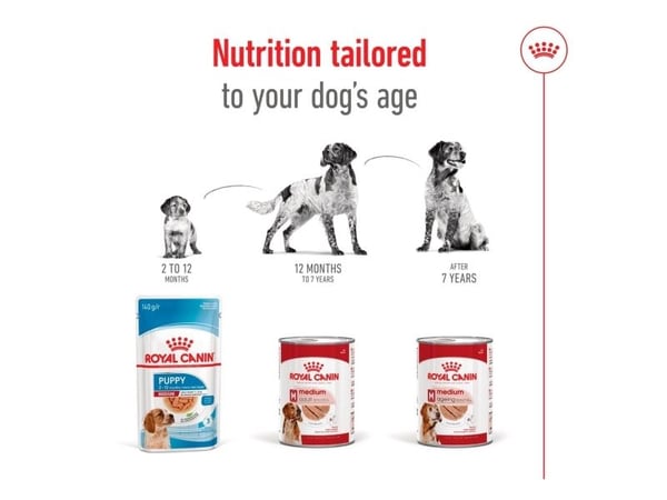 Royal Canin SHN Medium Adult Loaf Can 410g