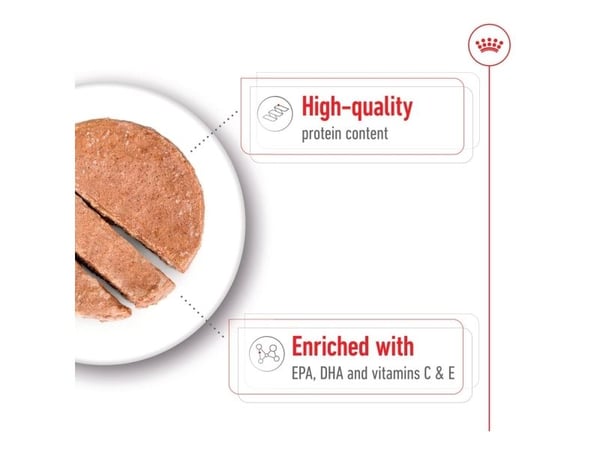 Royal Canin ROYAL CANIN SHN Medium Ageing Loaf 410 g