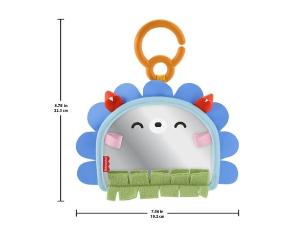 Fisher-Price Balanced Beginnings 2-in-1 Mirror