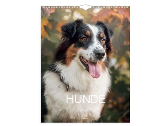 Vægkalender Hunde 2026