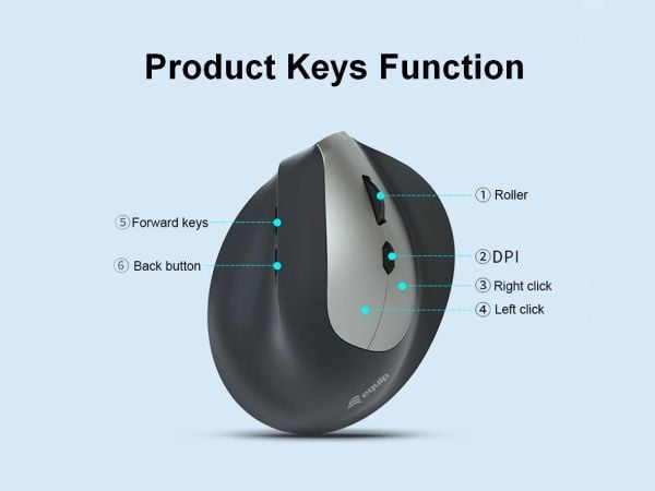 Equip 245120, Oikeakätinen, Vaakasuuntainen muotoilu, Optinen, RF Wireless + Bluetooth, 1600 DPI, musta