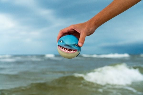 Waboba SHARKY SHARKY, 8,8 cm, Gutt, 3 år, Blå