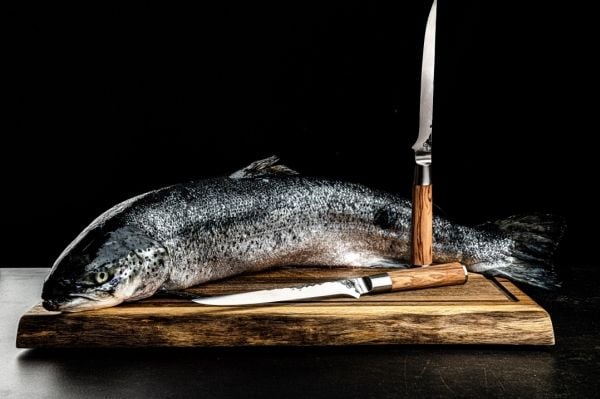 FORGED Fiskfilékniv 18cm Olive FORGED®