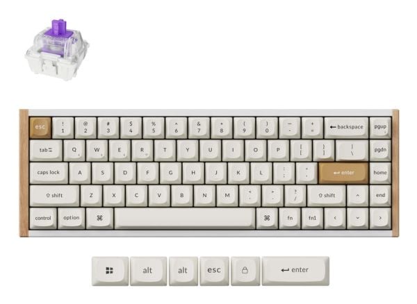 Keychron K6 HE - Special Edition - tastatur - 65% - bakgrunnsbelyst - trådløs - USB, 2.4 GHz, Bluetooth 5.2 - tastsvitsj: Gateron Double-Rail Nebul...