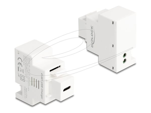DeLOCK 41481, Tasainen, Valkoinen, USB C, 2-pin terminal, Naaras, 220 mm