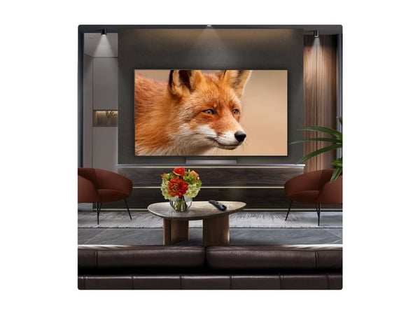 LG OLED65C5ELB - 65" Diagonalklasse C5E Series OLED TV - OLED evo AI - Smart TV - webOS - 4K UHD (2160p) 3840 x 2160 - HDR