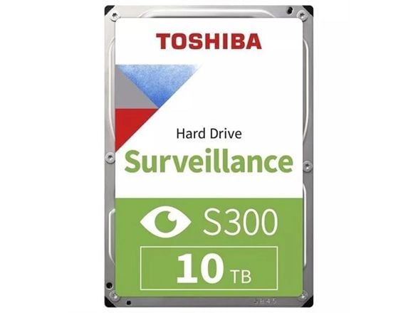 BULK S300 Pro övervakningshårddisk 10TB