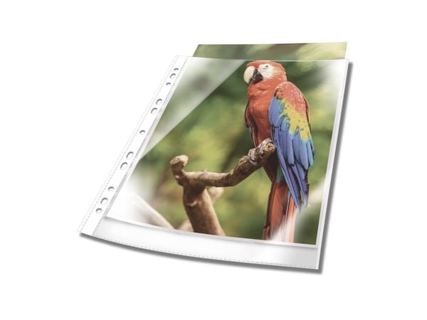 DURABLE PREMIUM - Arkbeskytter - for A4 (210 x 297 mm) - krystallklar, Hvit ramme (en pakke 10)
