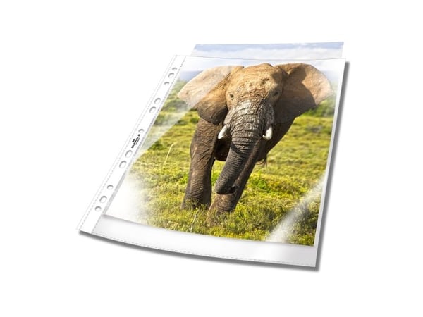 Durable 265819, Transparent, 100 styck