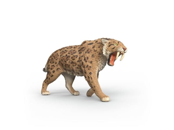 schleich WILD LIFE 15054, 5 vuosi/vuosia, Monivärinen, Muovi