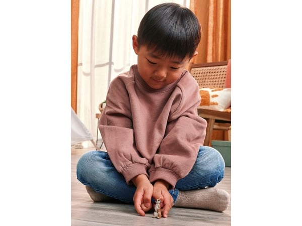 Schleich jordekorre