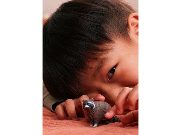 Schleich tvättbjörn