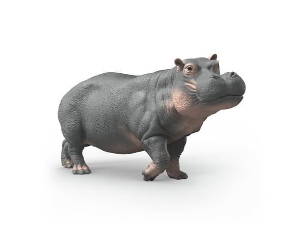 Schleich flodhäst