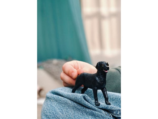 Schleich svart labrador retriever-valp