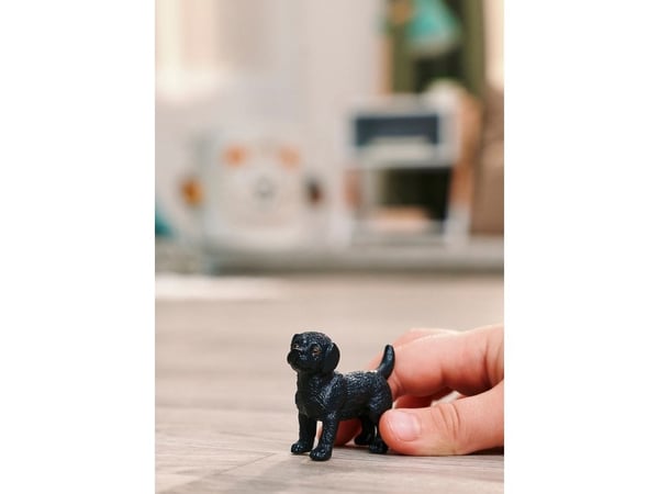 Schleich Black Labrador Retriever tispe