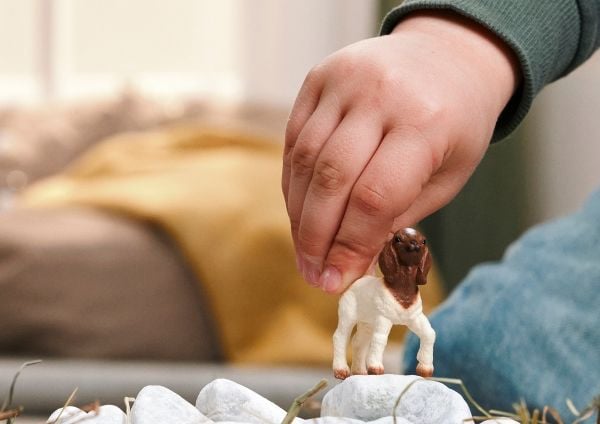 Schleich Boer gedekid