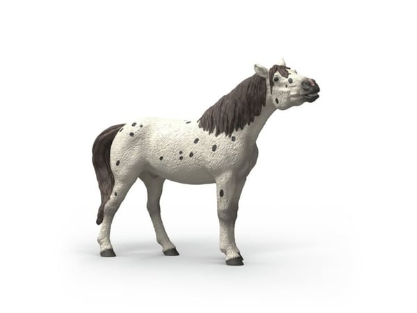 Schleich Knabstrupper valack