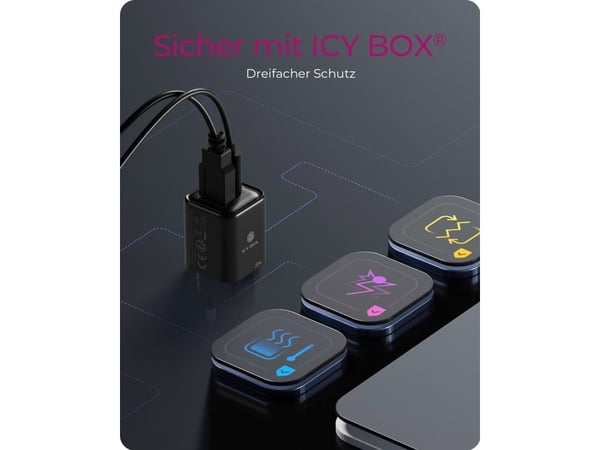 ICY BOX IB-PS1020-PD, Sisätila, AC, 12 V, musta