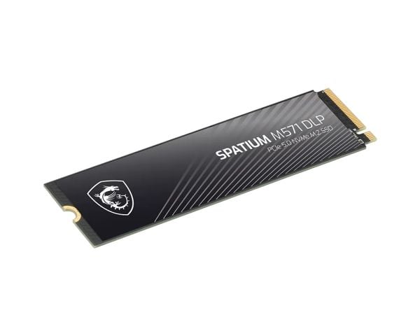 MSI SPATIUM M571 DLP PCIe 5.0 NVMe M.2 4T, 4 TB, M.2, 14500 MB/s