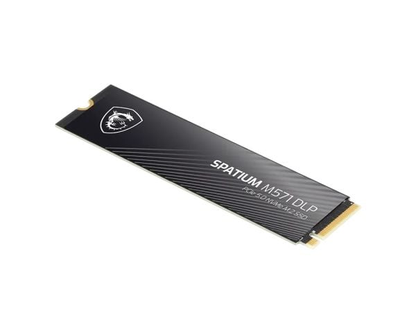 MSI SPATIUM M571 DLP PCIe 5.0 NVMe M.2 4T, 4 TB, M.2, 14500 MB/s