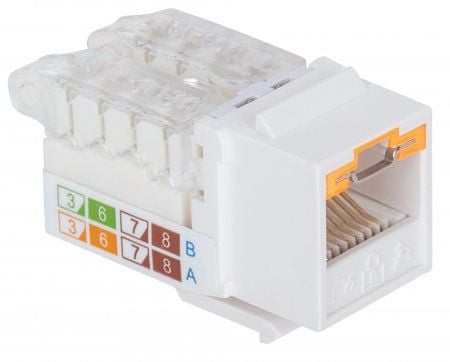 Intellinet 790758, Tasainen, Valkoinen, RJ-45, Naaras, Kulta, 22/26