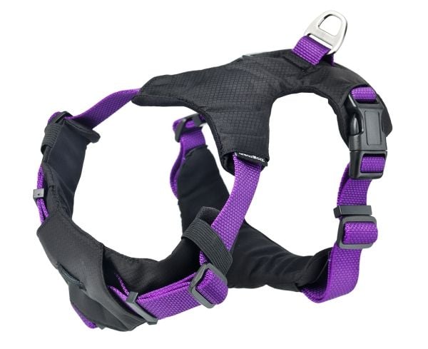 DOGMAN Sportsele Emmi lila XL
