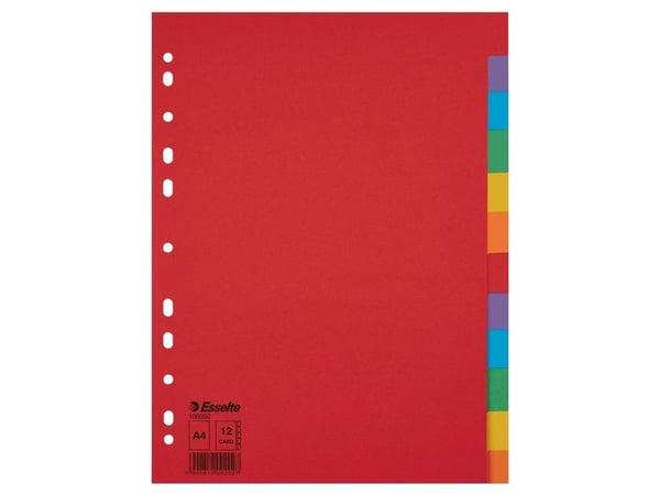 Esselte 100202, Multifärg, Kartong, A4, 160 g/m ^, 225 mm, 297 mm