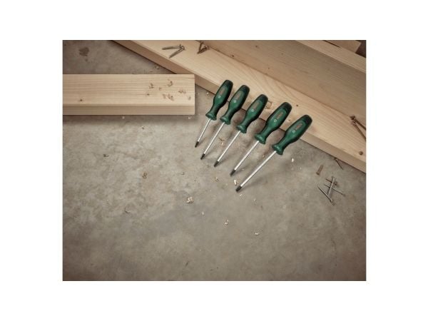 Bosch TORX skruvmejsel-sats 5 delar