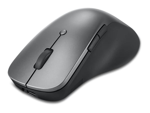 Lenovo Professional - Mus - ergonomisk - blå optisk - 6 knapper - trådløs - Bluetooth 5.1 - stormgrå