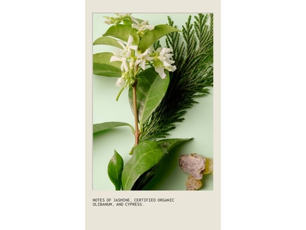 Aveda Sap Moss Weightless Hydration Conditioner - Unisex - 200 ml