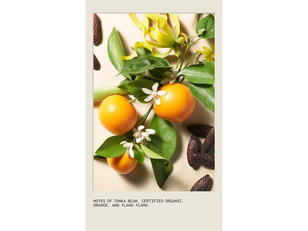 Aveda Cherry Almond Easy Brushing Shampoo - 1000 ml