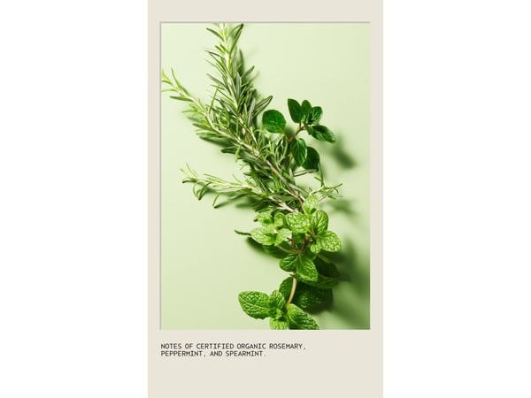 Aveda Rosemary Mint (nvt) - 1000,00 ml