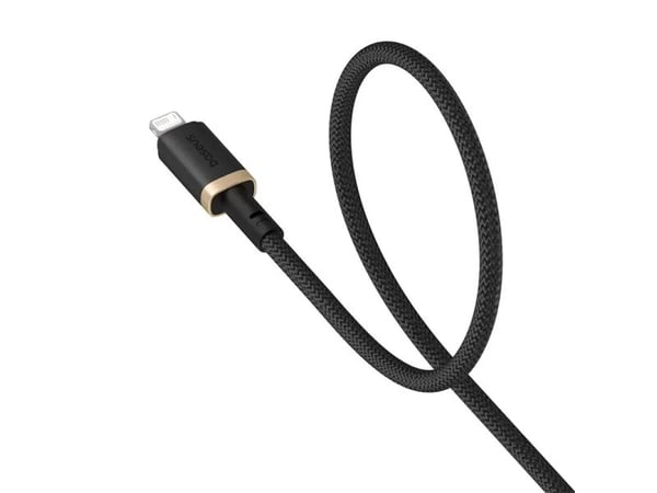 Baseus P10377801U01-00, 1 m, Lightning, USB A, Hankjønn, Hankjønn, Svart, Gull