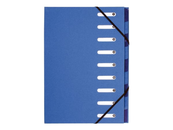Exacompta Forever Harmonika - Klassifikasjonsmappe - 12 deler - for A4 (210 x 297 mm) - med fliker - lys blå