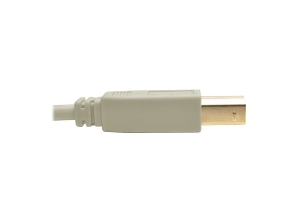 Usb 2.0 A To B Cable (M/M),  Beige, 6 Ft. (1.83 M)