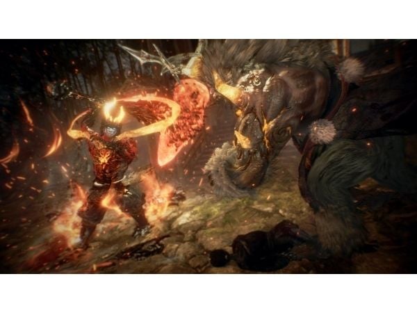 Sony Interactive Entertainment Nioh 2, PlayStation 4, M (Mogen), Fysiskt medium