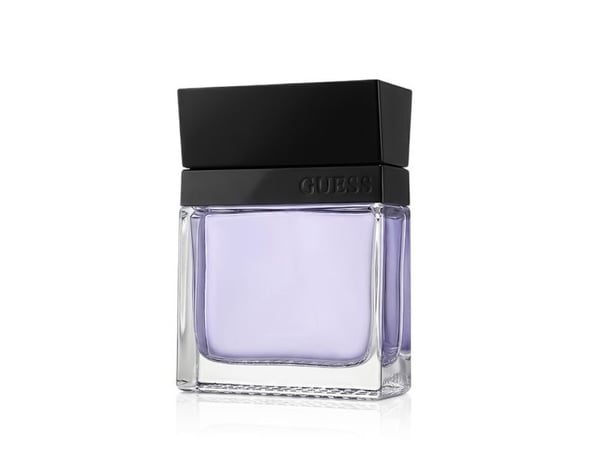 Guess Seductive Homme Eau de Toilette 100 ml (man)