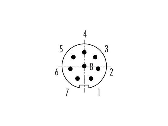 BINDER 99-9479-100-08, Bayonet, Hankjønn, Polyamid, Gull, Lodde, IP40