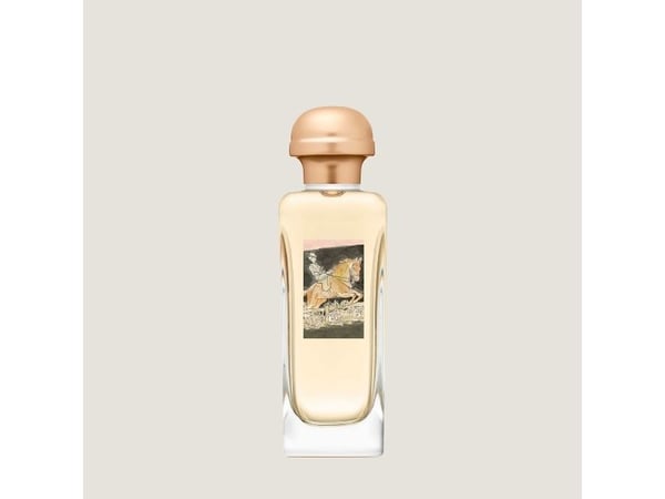 Hermès Amazone Eau De Toilette 100 ml (woman)
